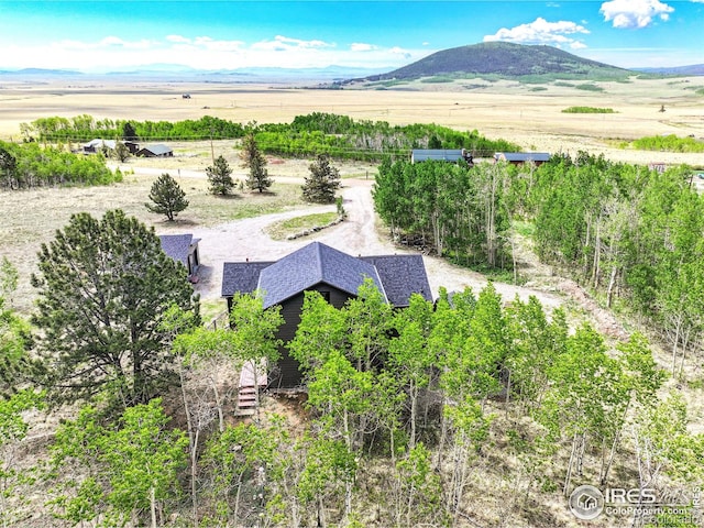1424 Sheep Ridge Rd, Fairplay, CO 80440 - aerial view of sparsely populated area featuring a mountain backdrop