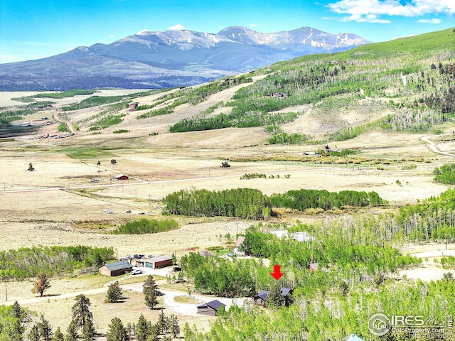 1424 Sheep Ridge Rd, Fairplay, CO 80440 - view of mountain background