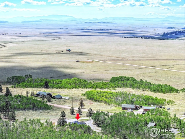 1424 Sheep Ridge Rd, Fairplay, CO 80440 - overview of rural landscape featuring a mountain backdrop