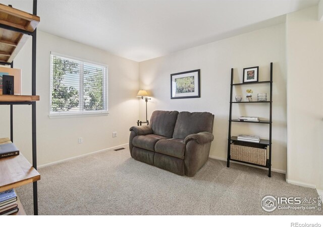2608 E 132nd Ave, Thornton, CO 80241 - carpeted living room featuring baseboards