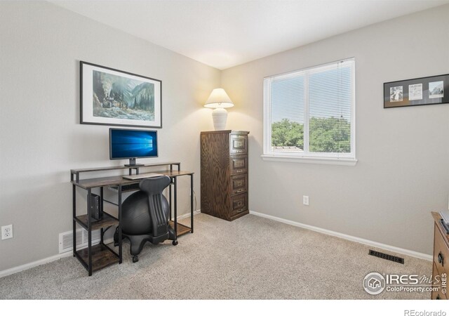 2608 E 132nd Ave, Thornton, CO 80241 - office featuring carpet flooring and baseboards