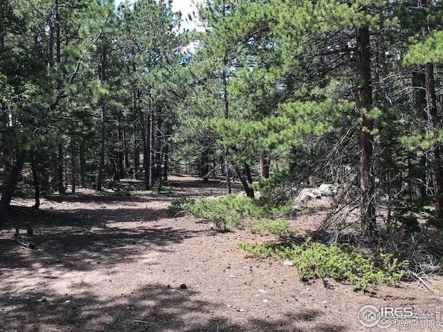 575 Ranch Rd, Ward, CO 80481