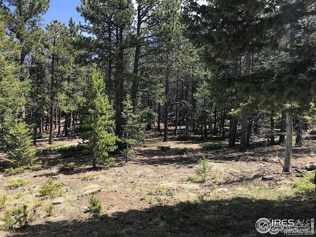 575 Ranch Rd, Ward, CO 80481