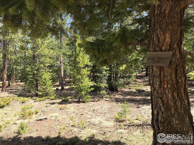 575 Ranch Rd, Ward, CO 80481