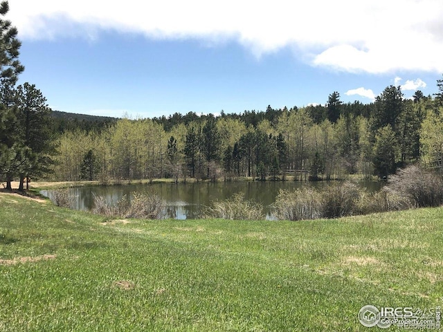 575 Ranch Rd, Ward, CO 80481