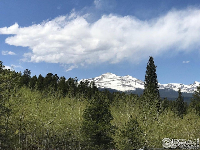 575 Ranch Rd, Ward, CO 80481