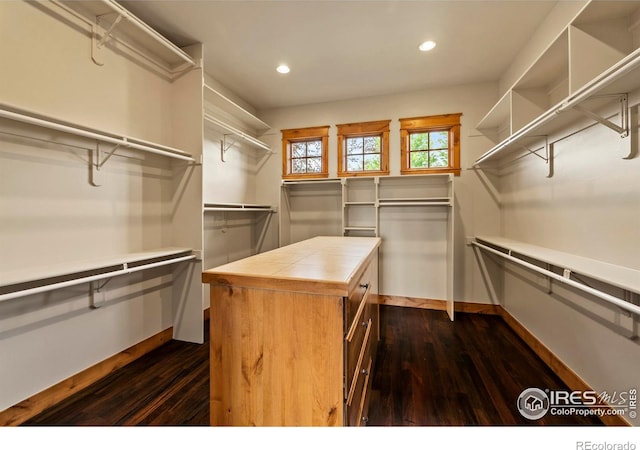 863 Riparian Way, Fort Collins, CO 80524 - spacious closet featuring dark wood finished floors