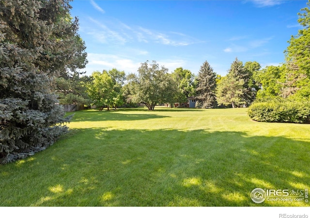 705 E Drake Rd Unit 40, Fort Collins, CO 80525 - view of grassy yard