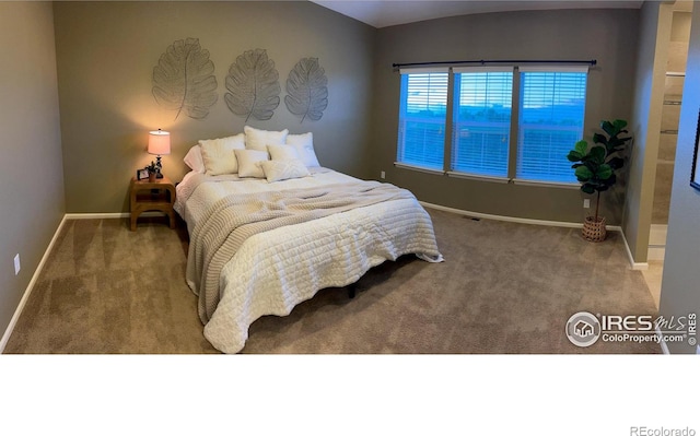 306 Baja Dr, Windsor, CO 80550 - bedroom with carpet flooring and baseboards