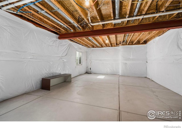 306 Baja Dr, Windsor, CO 80550 - view of garage