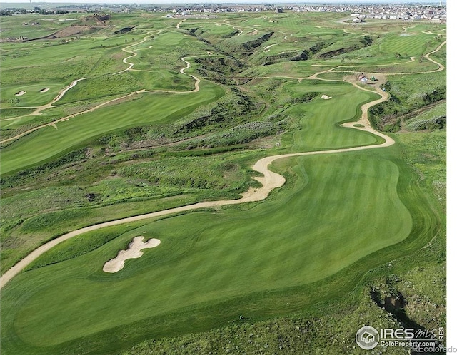 306 Baja Dr, Windsor, CO 80550 - view of property location featuring a golf course