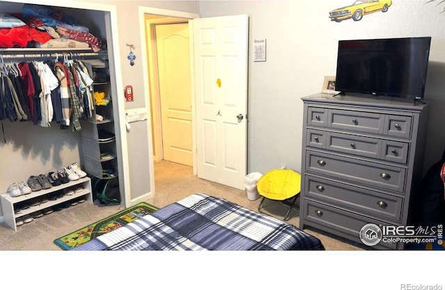 3200 Claremont Ave, Evans, CO 80620 - carpeted bedroom with a closet