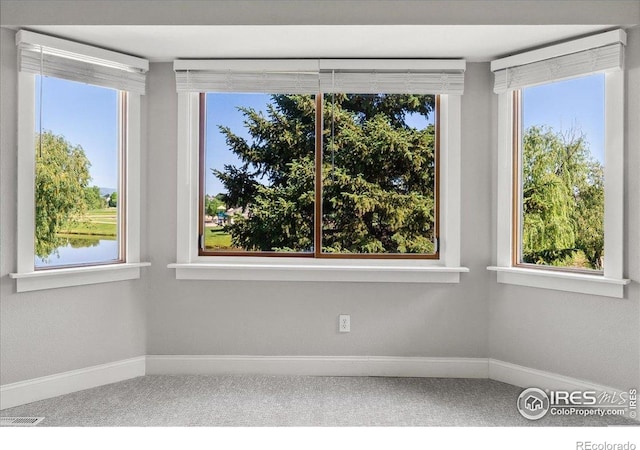 1206 Canvasback Ct, Fort Collins, CO 80525 - carpeted spare room featuring baseboards