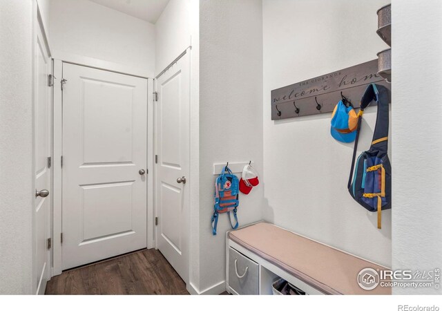 6548 Coralbell St, Wellington, CO 80549