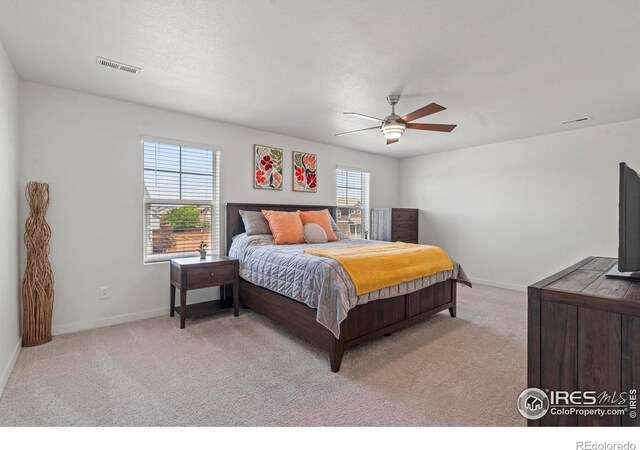 6548 Coralbell St, Wellington, CO 80549