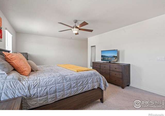 6548 Coralbell St, Wellington, CO 80549