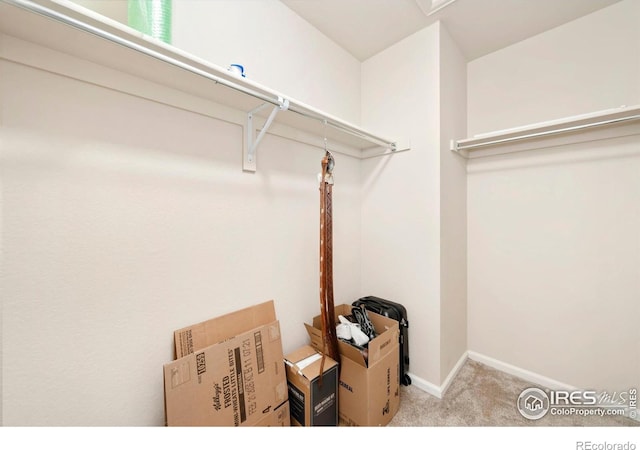 6504 Zimmerman Lake Rd, Timnath, CO 80547 - walk in closet featuring carpet flooring