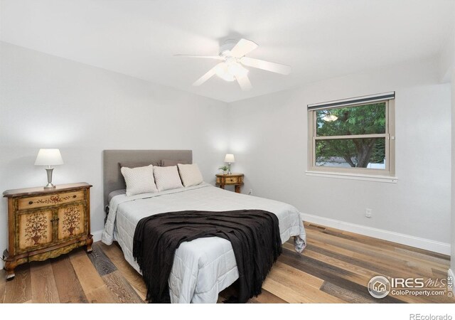 2329 42nd Avenue Ct, Greeley, CO 80634 - photo 8