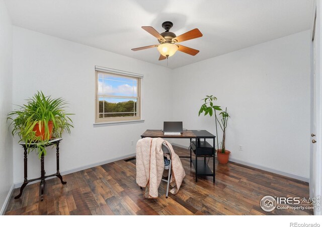 2329 42nd Avenue Ct, Greeley, CO 80634 - photo 14