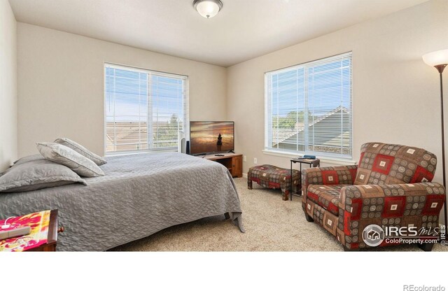 4500 Tuscany St Unit A, Evans, CO 80620 - photo 16