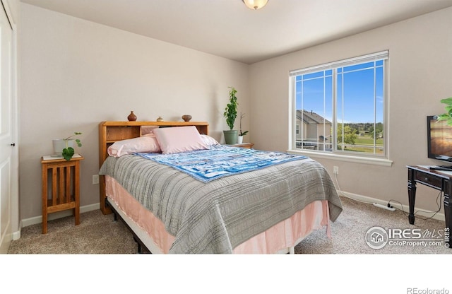 4500 Tuscany St Unit A, Evans, CO 80620 - photo 17