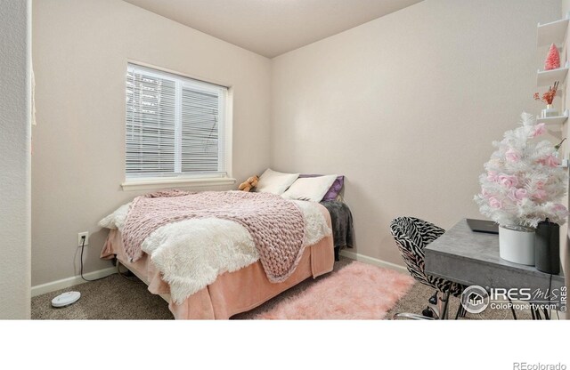 4500 Tuscany St Unit A, Evans, CO 80620 - photo 21