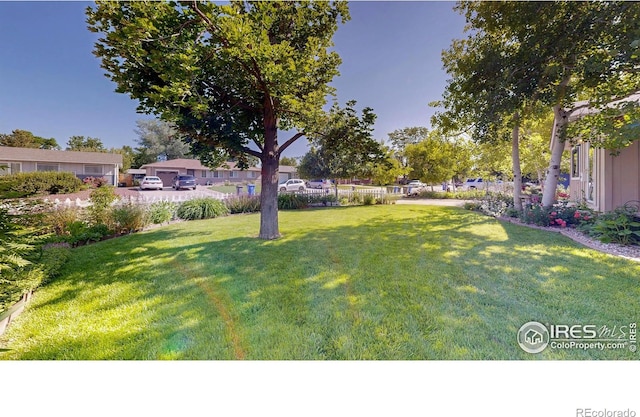 1112 E 16th St, Loveland, CO 80538 - view of grassy yard