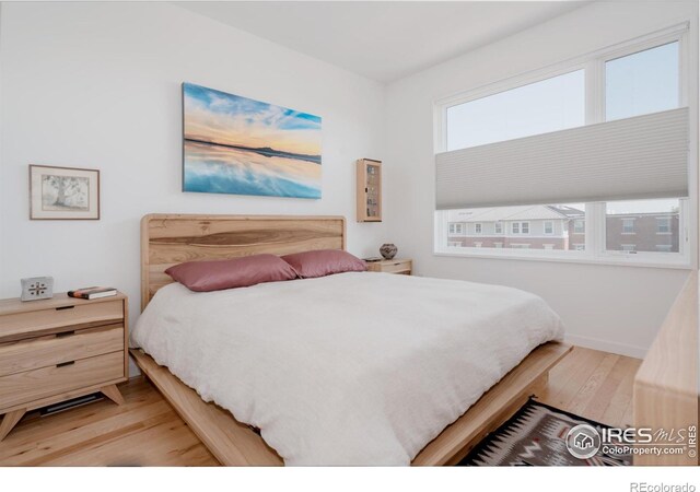 401 Linden St Unit 3-336, Fort Collins, CO 80524 - photo 16
