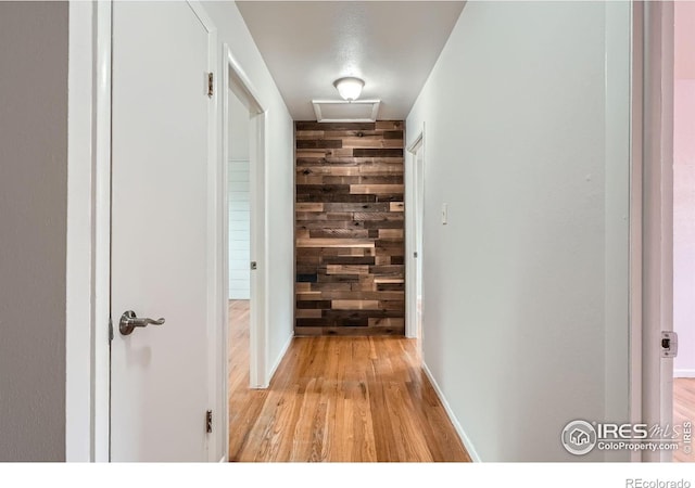 6864 Balsam St, Arvada, CO 80004 - hallway featuring light wood-style flooring and wooden walls