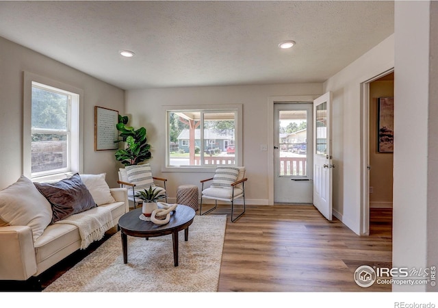 1343 E 7th St Unit 1, Loveland, CO 80537 - living room featuring healthy amount of natural light, light wood-type flooring, and recessed lighting