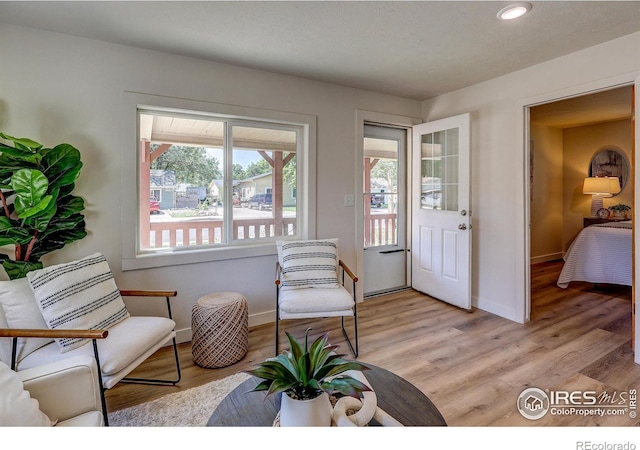 1343 E 7th St Unit 1, Loveland, CO 80537 - living area with light wood finished floors and recessed lighting