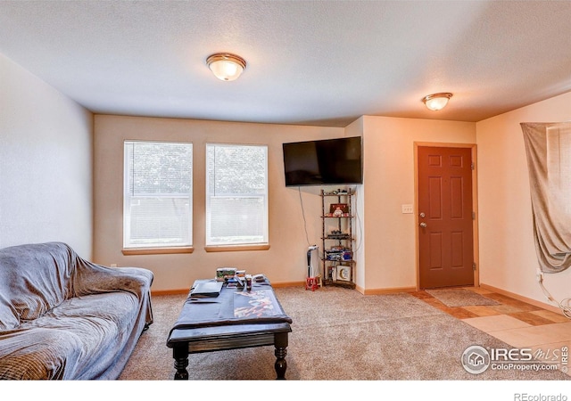 1343 E 7th St Unit 1, Loveland, CO 80537 - carpeted living room featuring baseboards and a textured ceiling