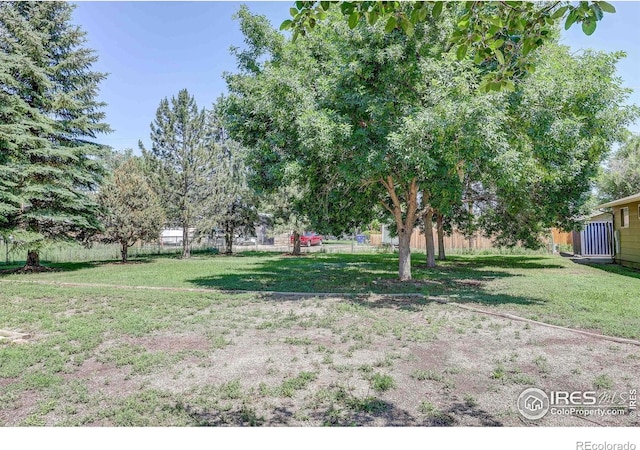 1343 E 7th St Unit 1, Loveland, CO 80537 - view of yard
