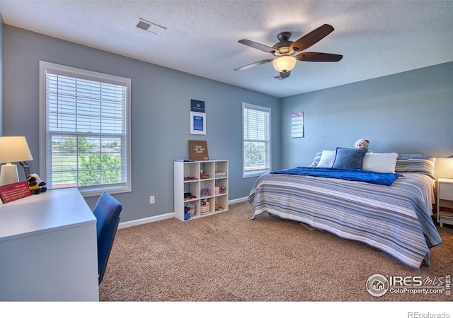 1629 32nd St, Evans, CO 80620 - photo 16