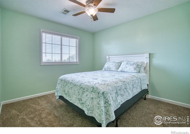 1629 32nd St, Evans, CO 80620 - photo 19