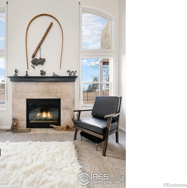 5072 Saint Andrews Dr, Loveland, CO 80537 - sitting room featuring carpet flooring and a fireplace