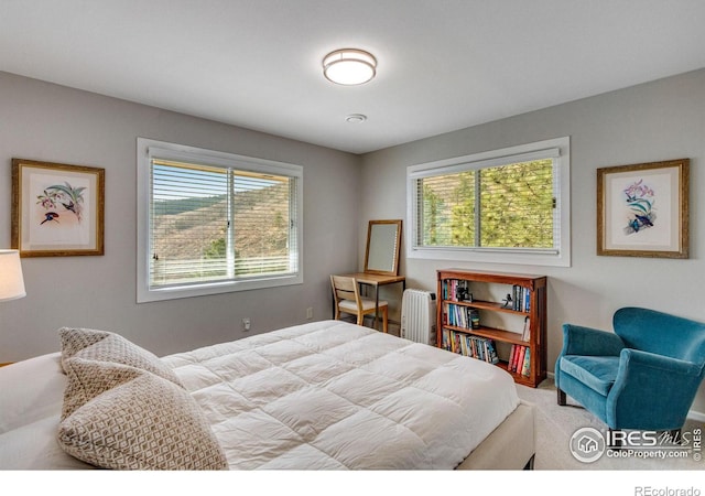 6300 Feldspar Ct, Bellvue, CO 80512 - photo 25