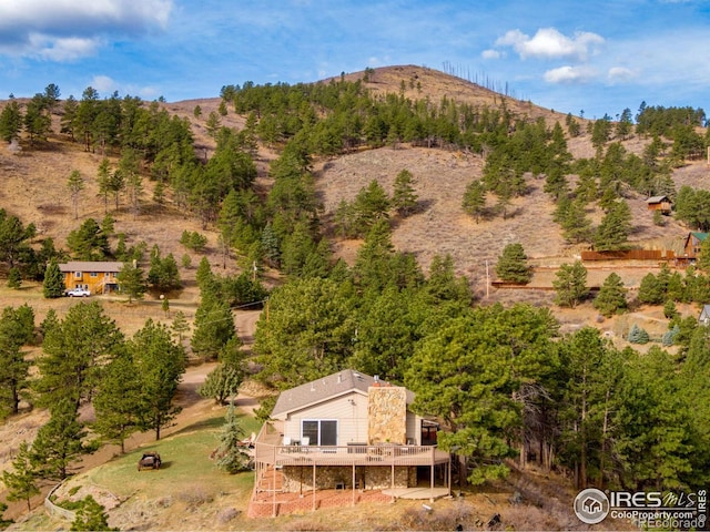 6300 Feldspar Ct, Bellvue, CO 80512 - photo 37