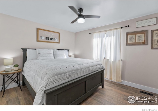 2408 Albany Ave, Loveland, CO 80538 - photo 16
