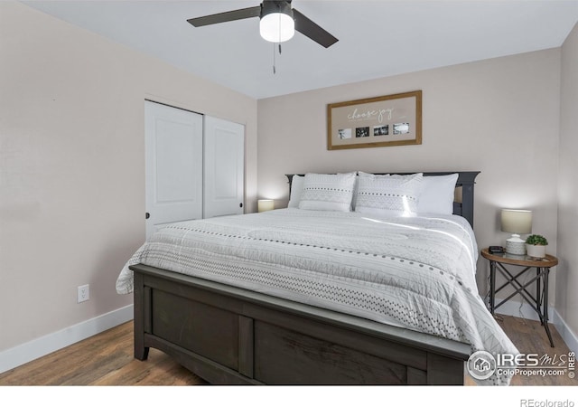 2408 Albany Ave, Loveland, CO 80538 - photo 17