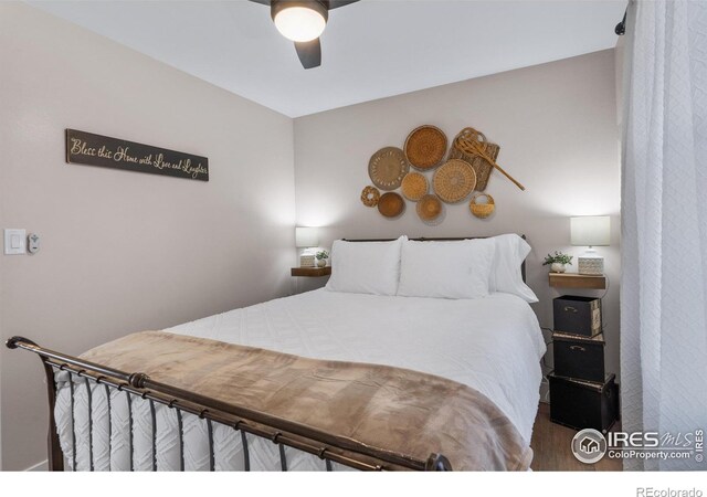 2408 Albany Ave, Loveland, CO 80538 - photo 19