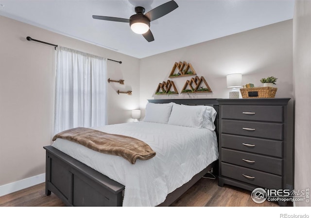 2408 Albany Ave, Loveland, CO 80538 - photo 21