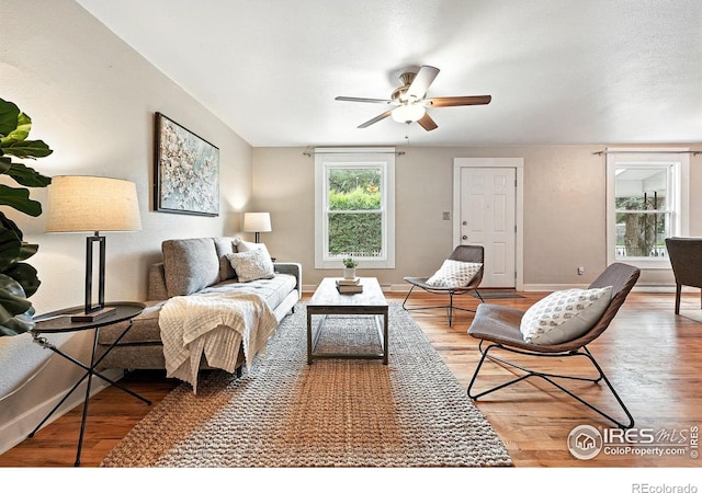 1202 9th Ave, Longmont, CO 80501 - photo 5
