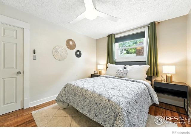 1202 9th Ave, Longmont, CO 80501 - photo 12