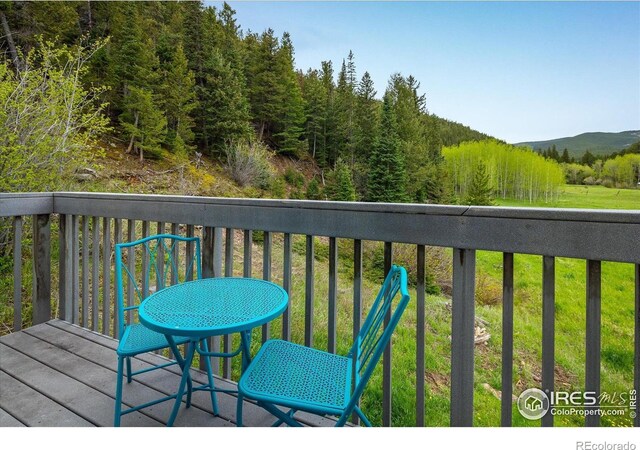 489 Beaver Creek Dr, Nederland, CO 80466 - photo 22