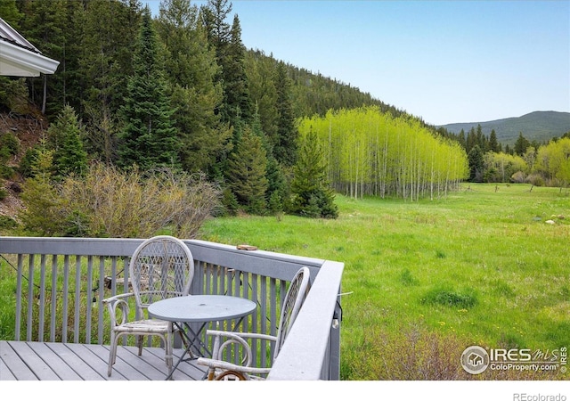 489 Beaver Creek Dr, Nederland, CO 80466 - photo 25