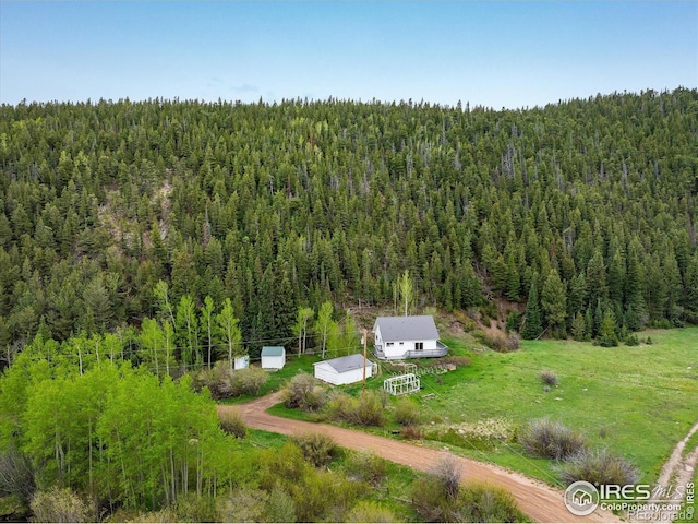 489 Beaver Creek Dr, Nederland, CO 80466 - photo 32