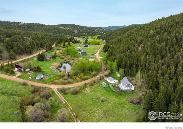 489 Beaver Creek Dr, Nederland, CO 80466 - photo 34