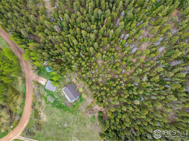 489 Beaver Creek Dr, Nederland, CO 80466 - photo 35
