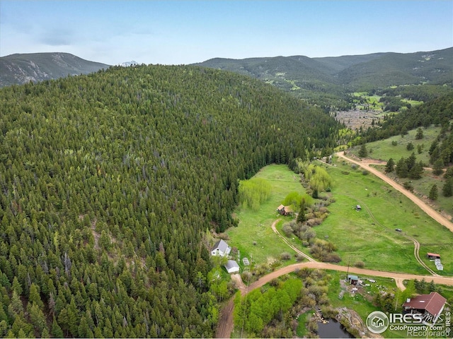 489 Beaver Creek Dr, Nederland, CO 80466 - photo 36